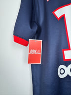 PSG 2013/2014 HOME FOOTBALL SHIRT - IBRAHIMOVIC #10 (M)