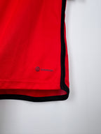 MAILLOT DE FOOTBALL BELGIQUE 2022 DOMICILE - EDEN HAZARD #10 (M)