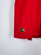 MAILLOT DE FOOTBALL ESPAGNE 2010 DOMICILE - ANDRES INIESTA #6 (S)