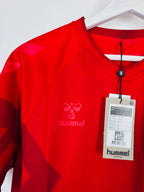 NEW DENMARK 2022 HOME FOOTBALL JERSEY (S)
