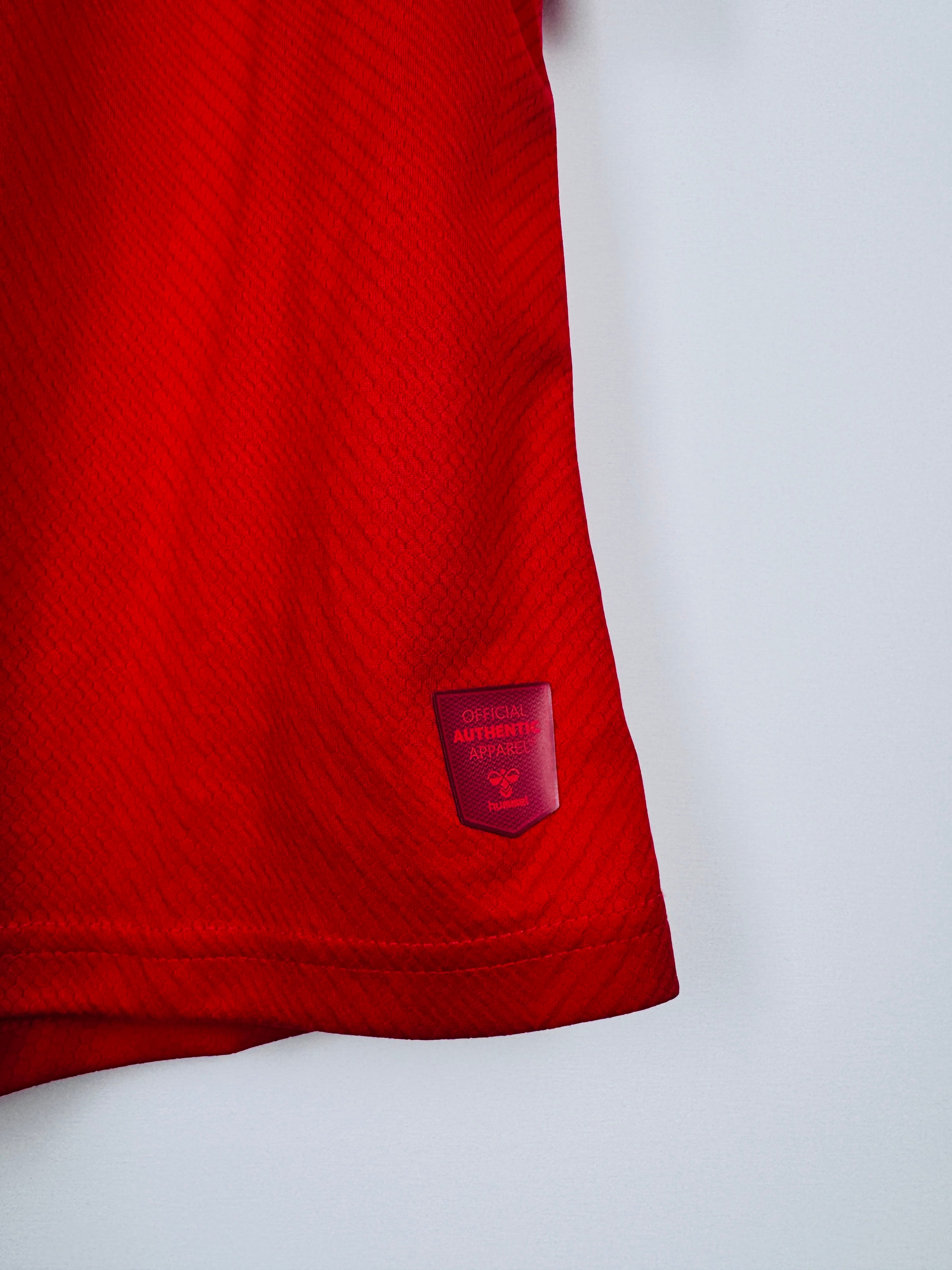 NEW DENMARK 2022 HOME FOOTBALL JERSEY (S)