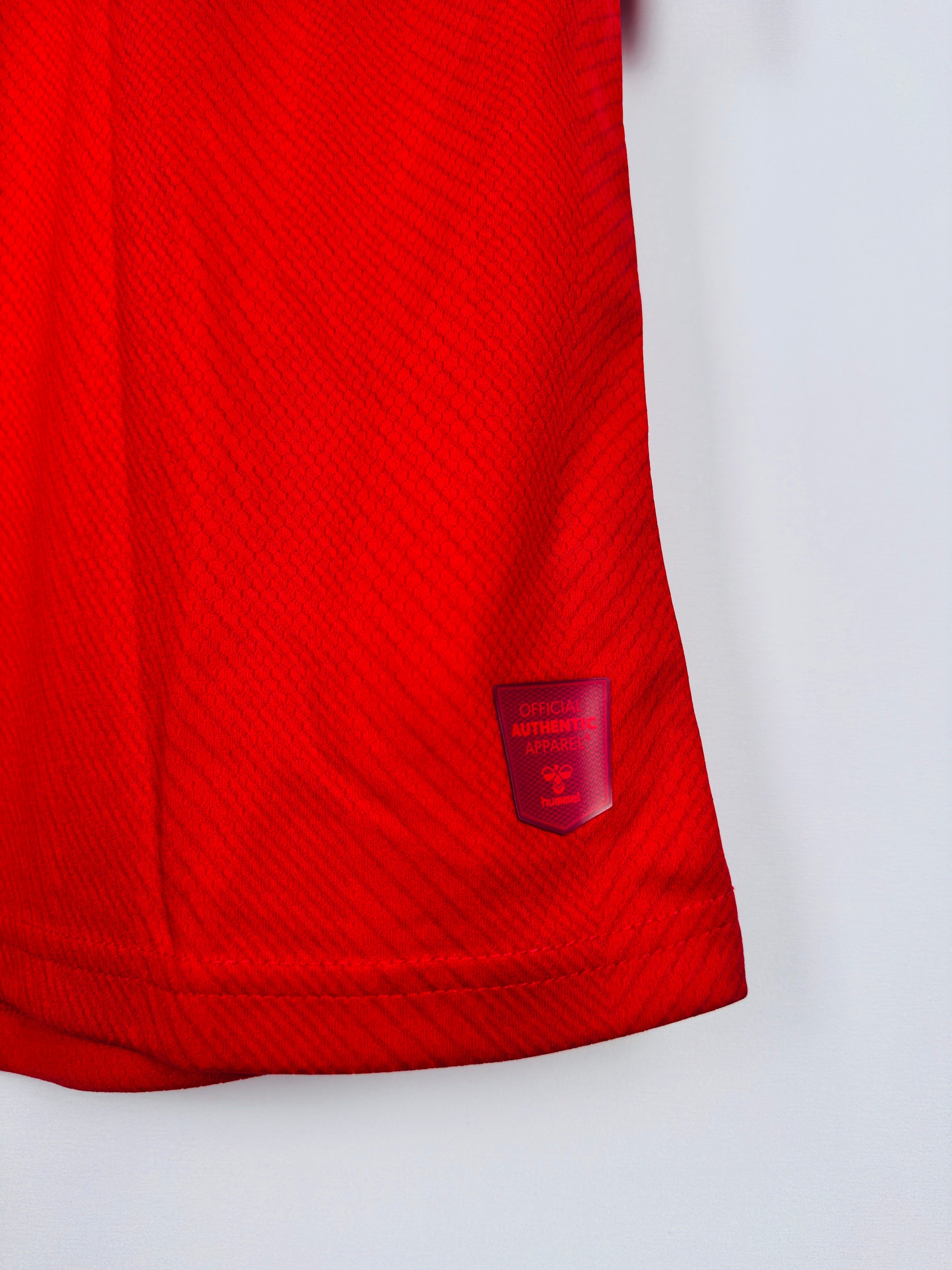 DENMARK 2022 HOME FOOTBALL SHIRT NEW (S)